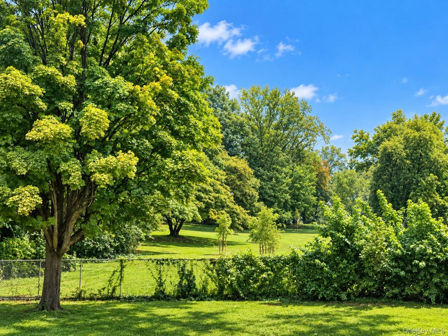 Park View