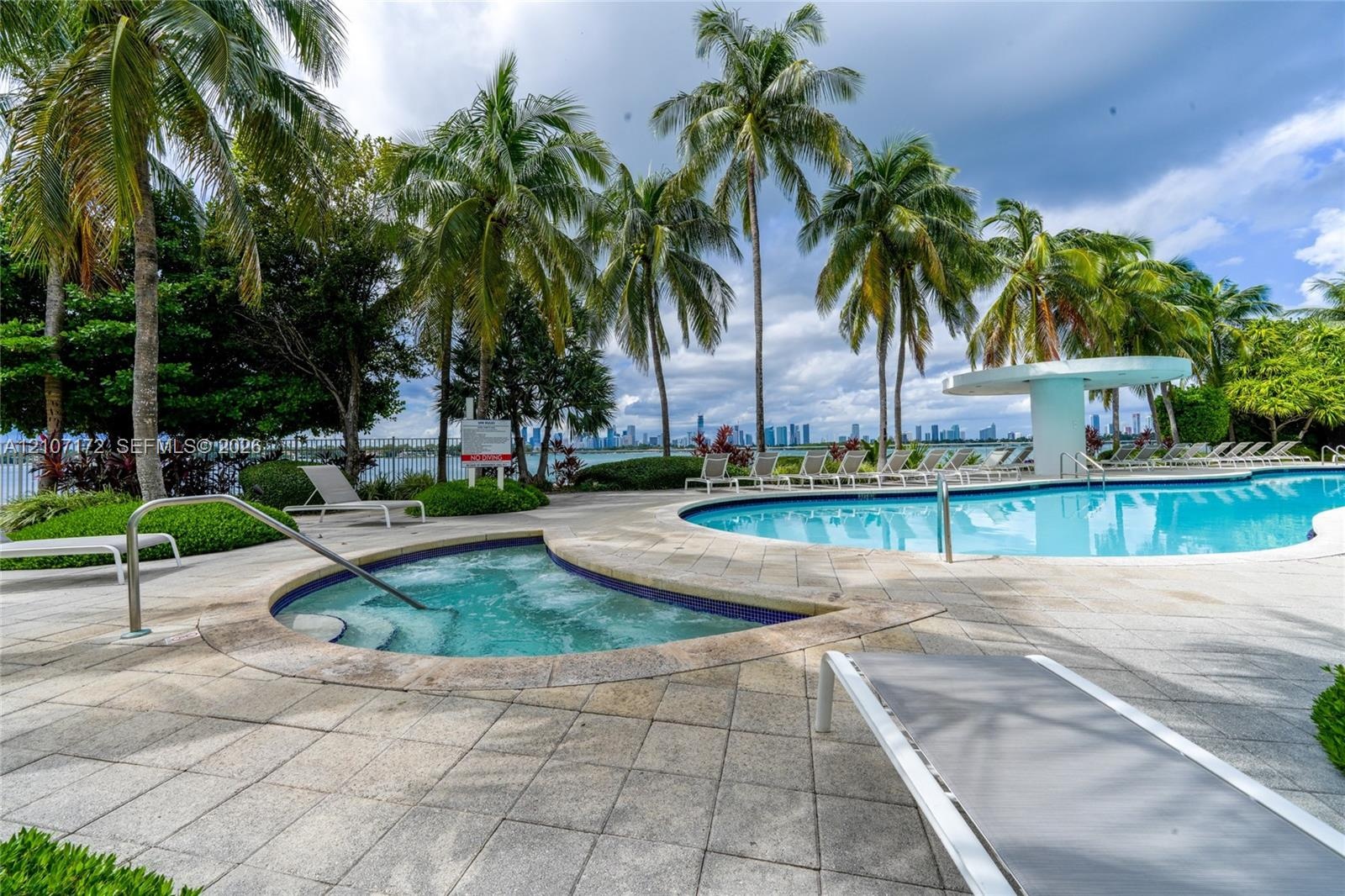 Waterfront pool area featuring a swimming pool, integrated spa, tiled pool deck, and mature palm trees with a city skyline backdrop