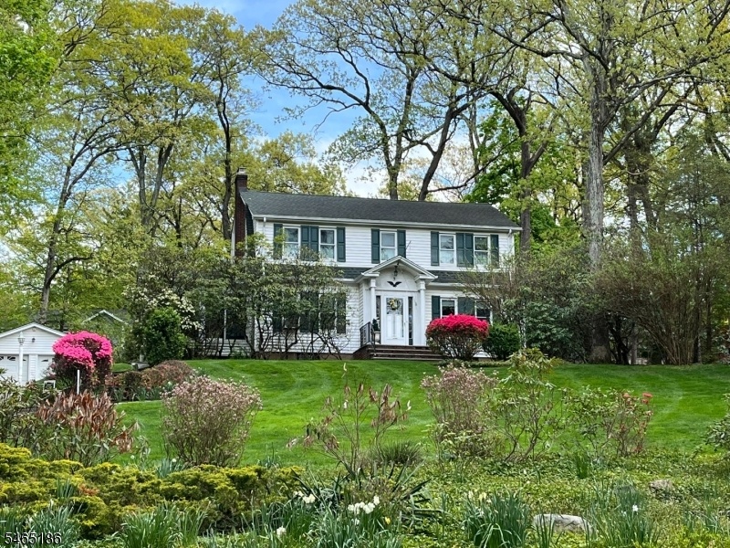 Front View