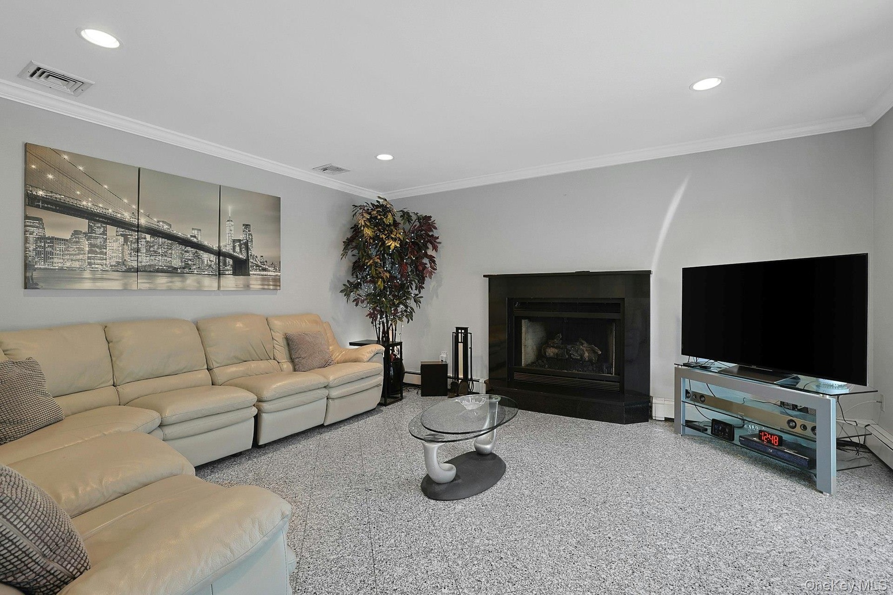 Spacious family room
