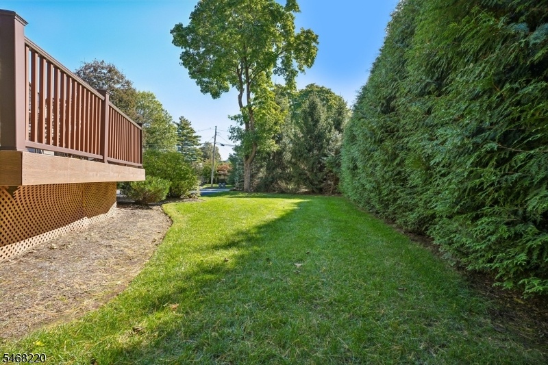 Private backyard