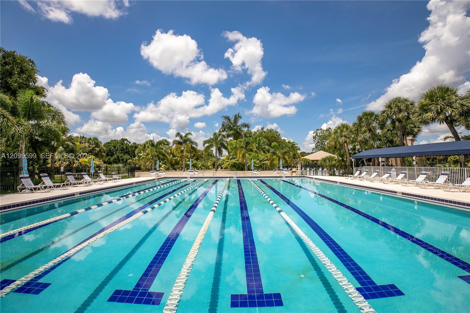 Multi-lane swimming pool with lane markers, surrounded by a paved deck, perimeter fencing, and mature palm trees