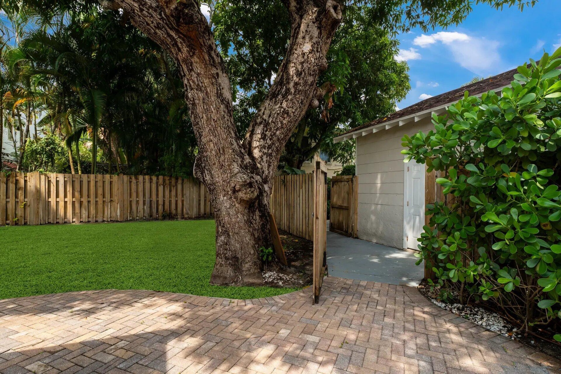 Backyard/ Entrance to la Casita