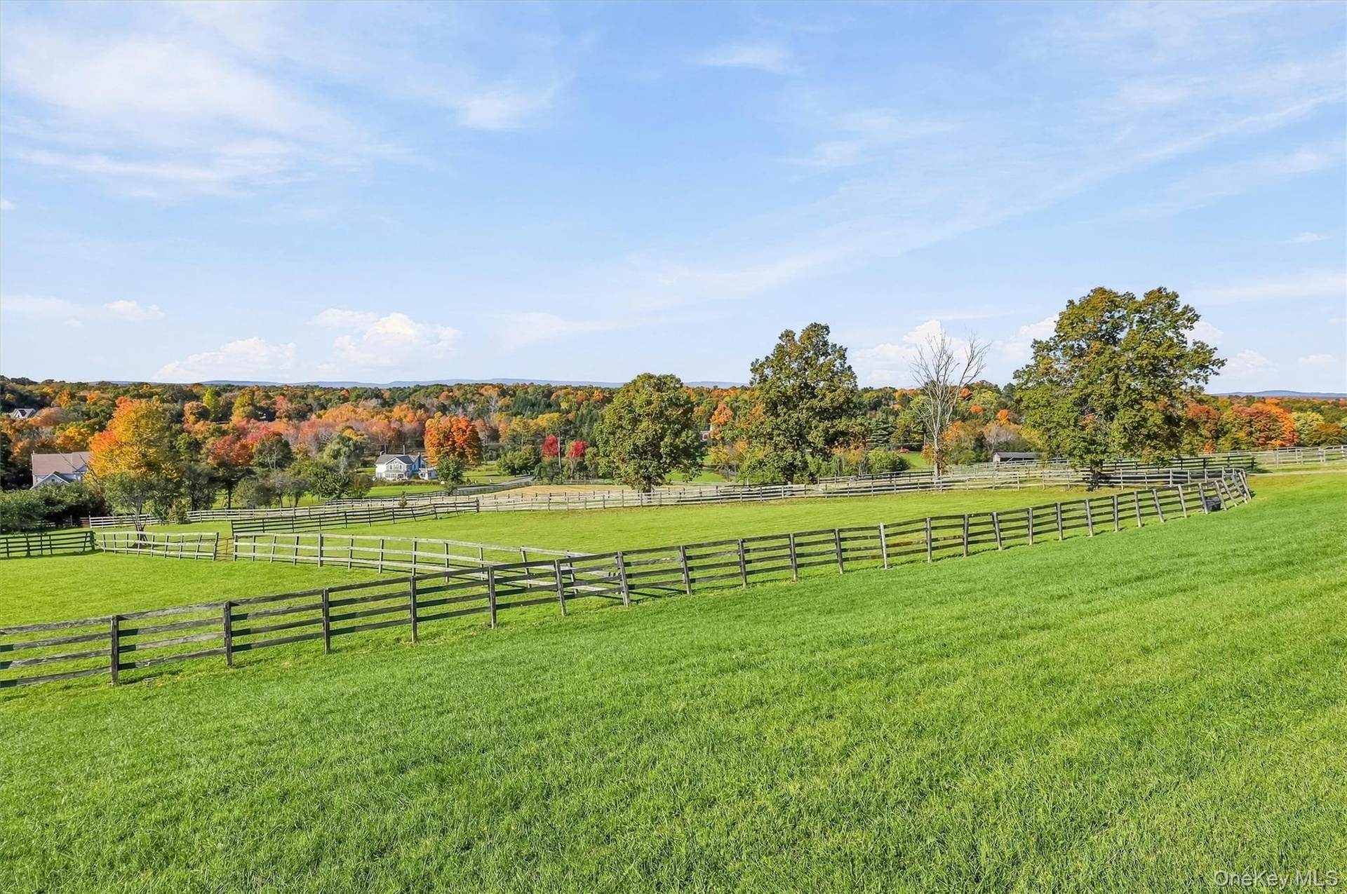 Second Barn – View of Paddocks
