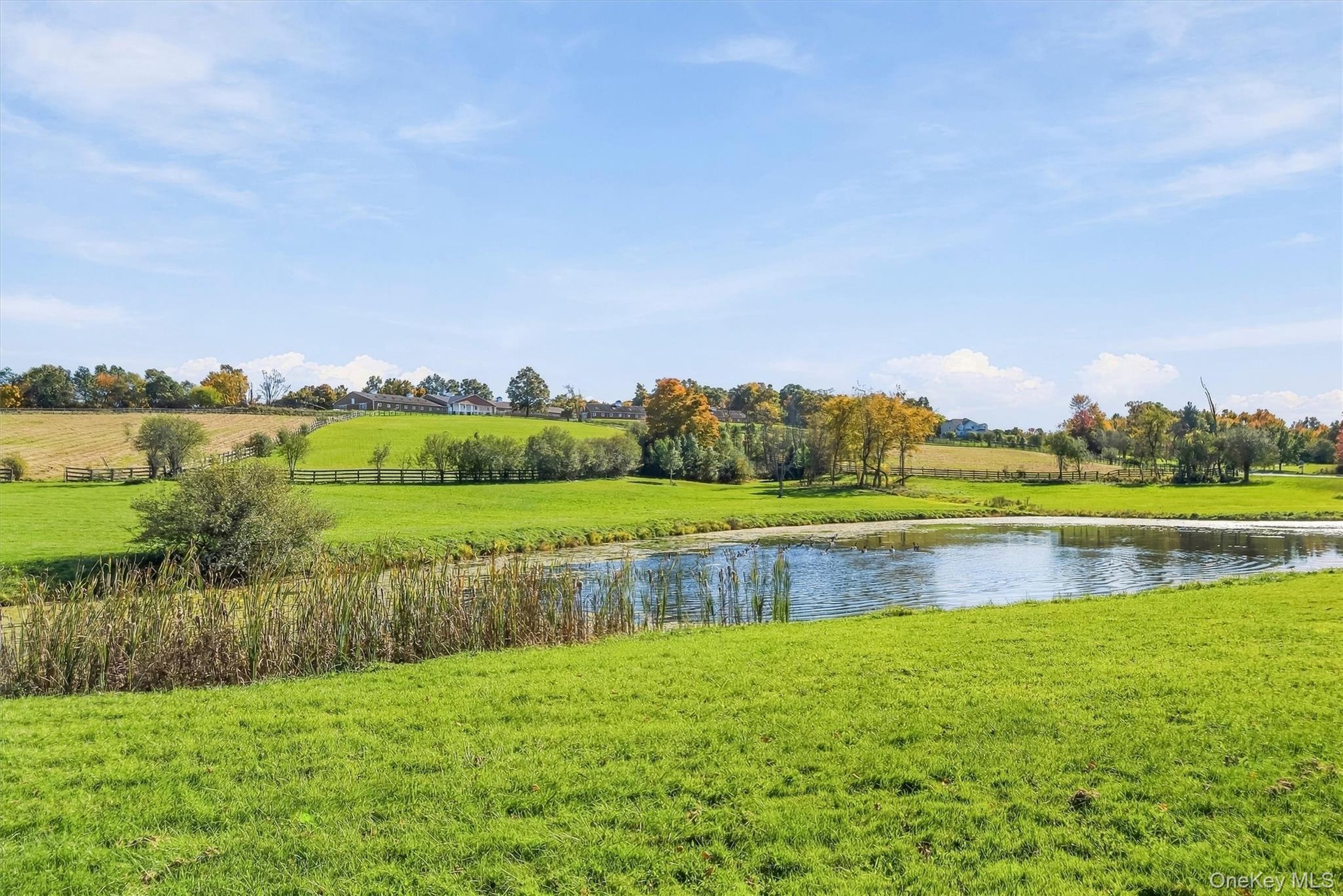 Farm Road Entrance – Property View