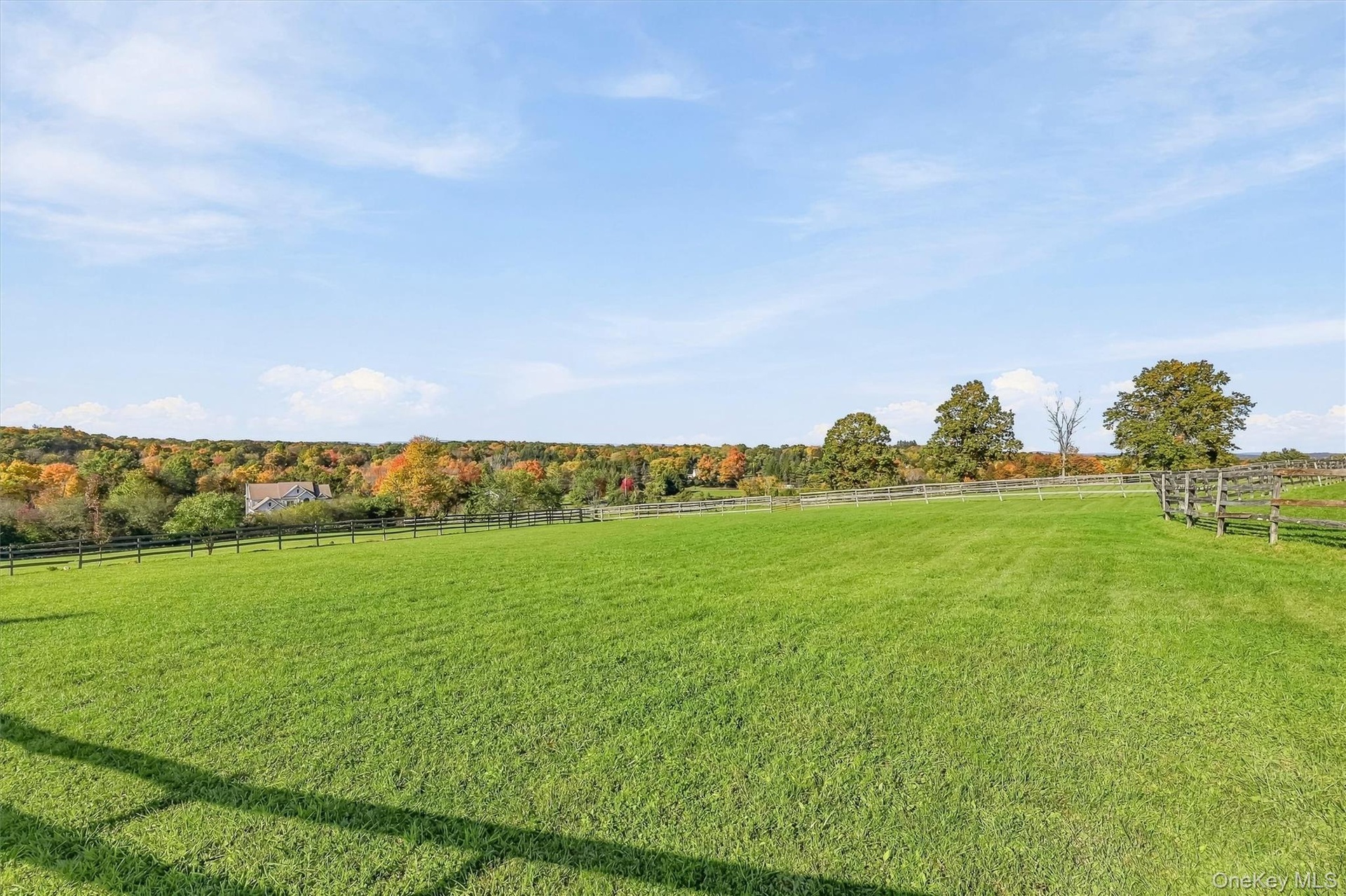 Upper Paddocks – Near Second Barn