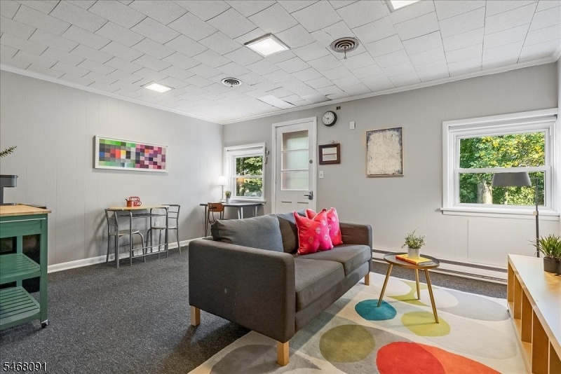 Basement Family Room
