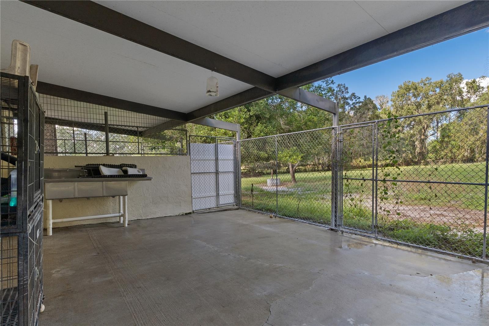 Kennel Wash Area