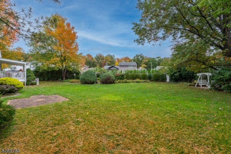 Double Lot Flat Level Yard