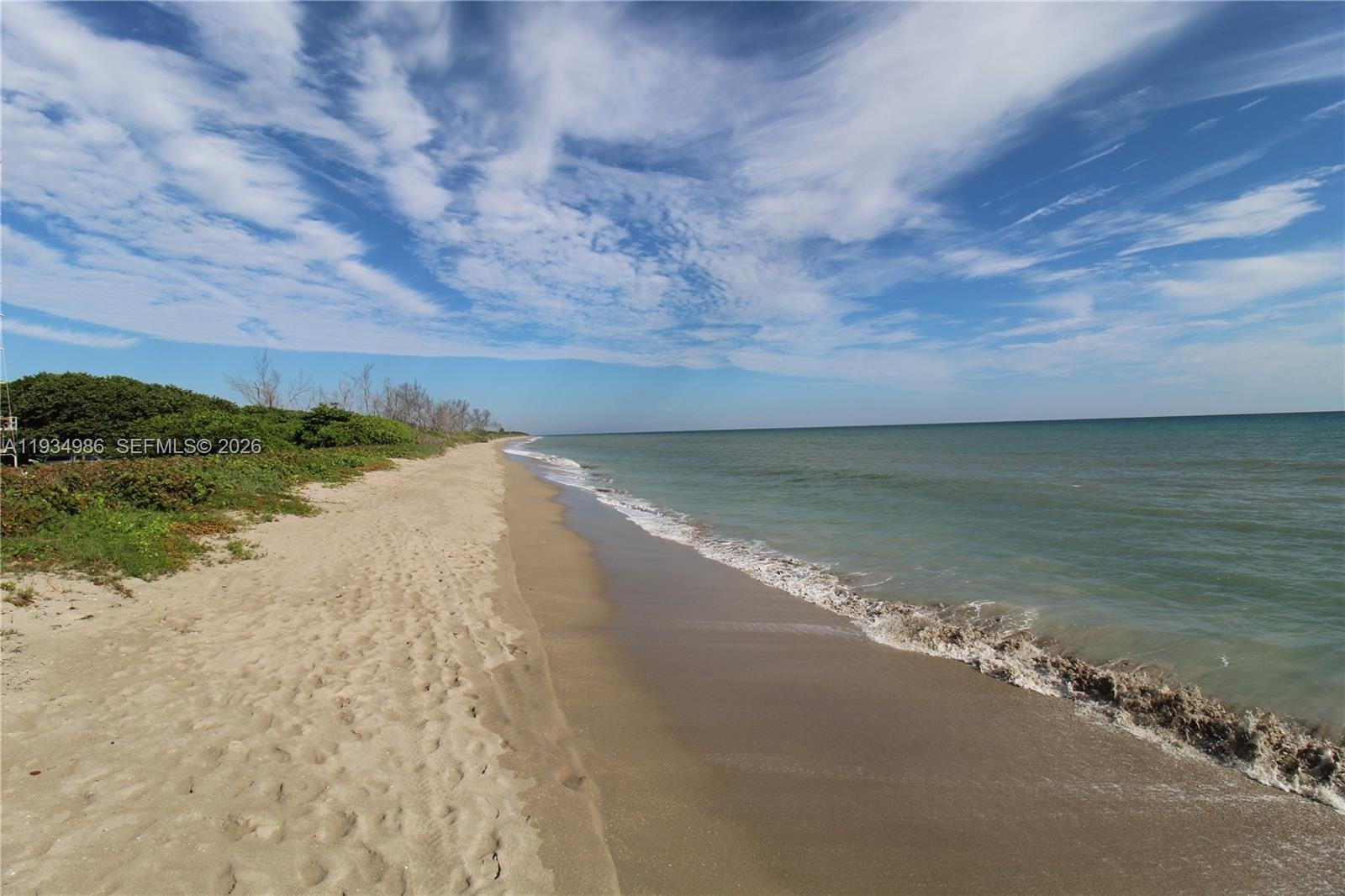 Sandy beach shoreline featuring natural coastal vegetation and direct ocean water frontage