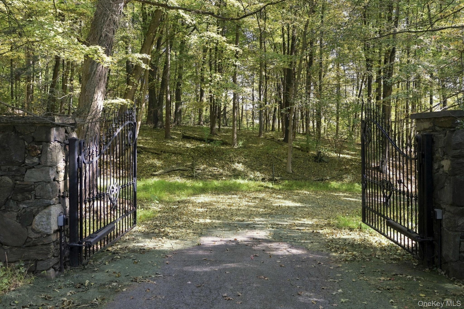 Automated Entry Gates