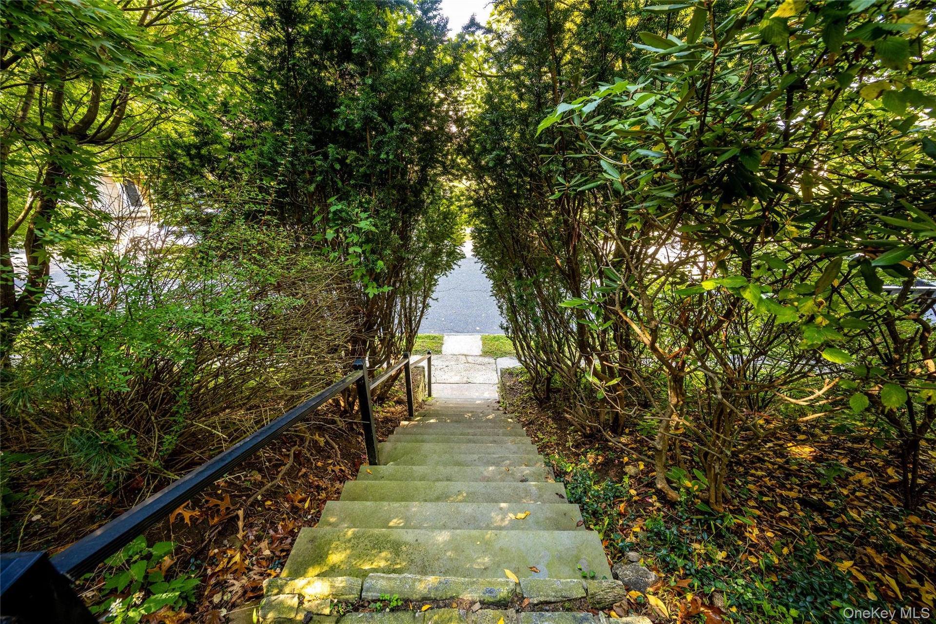 Steps to Southlawn