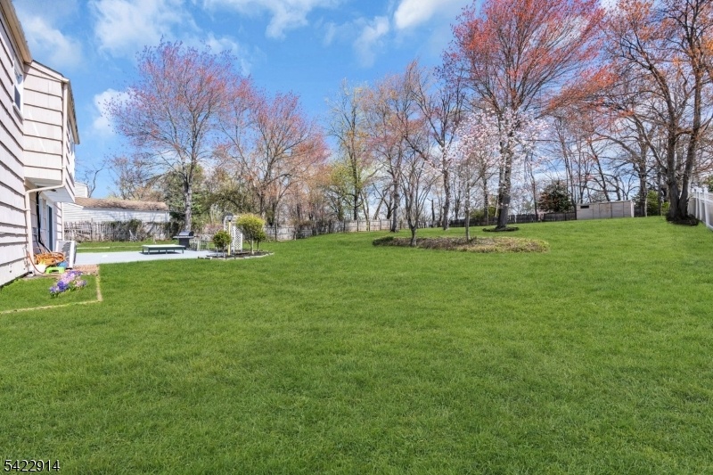 fenced in backyard