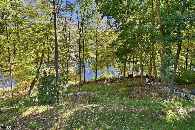 River view