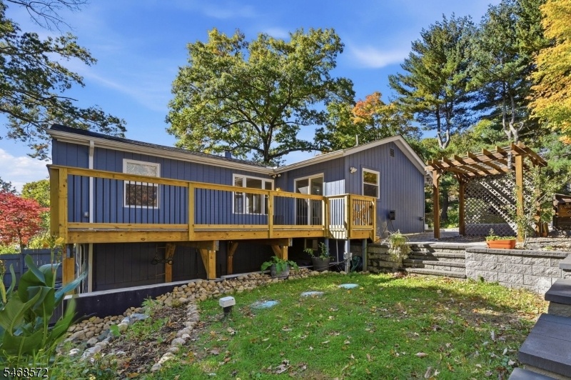 Deck and side yard