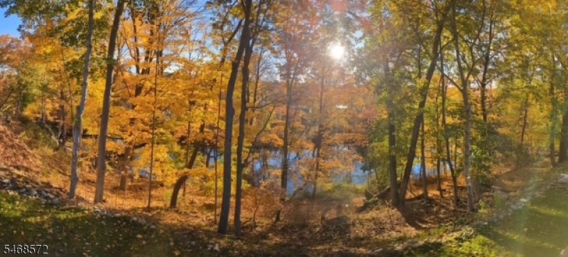 Fall Colors deck view 2025