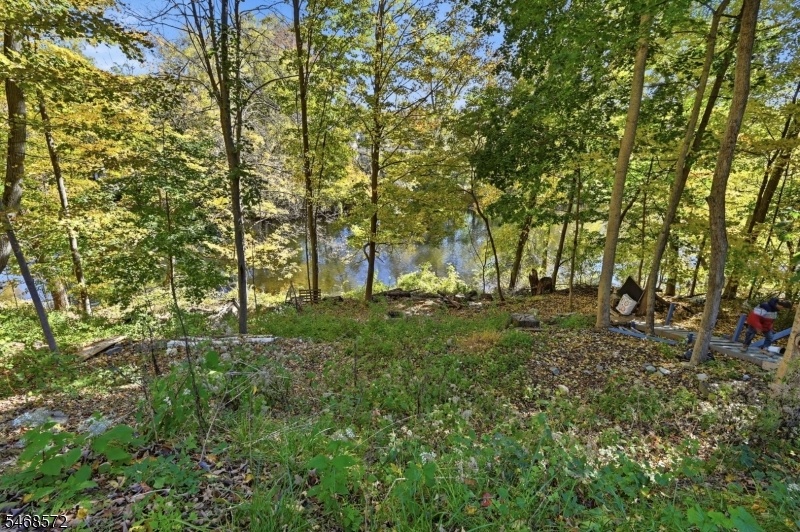 river view