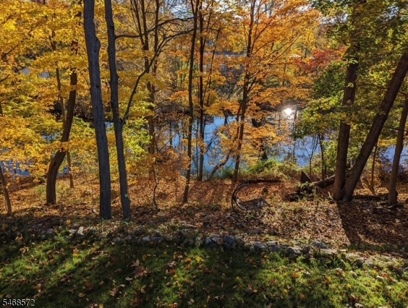 Fall colors deck view 2025