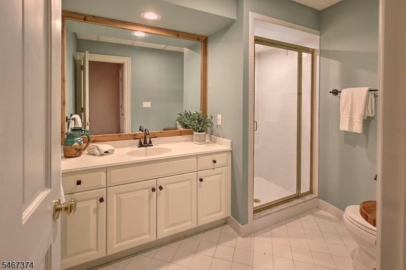 Lower Level Bathroom