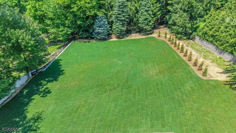 Spacious Flat Yard