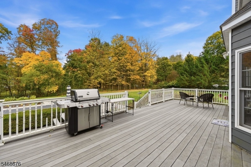 Expansive Back Deck