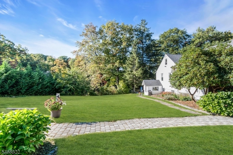 Side Yard