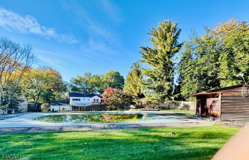 View of Backyard From Pool