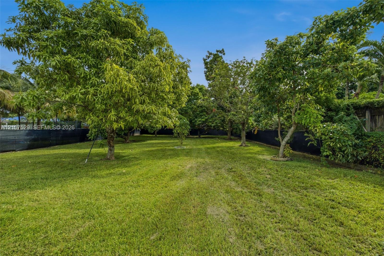 Rear exterior featuring smooth stucco siding, flat roofline, and expansive lawn with mature trees