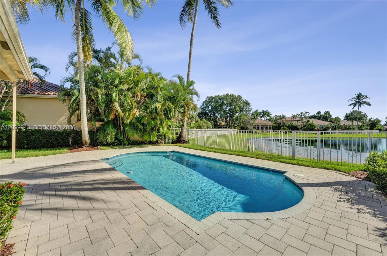 In-ground swimming pool featuring a paver patio, metal perimeter fencing, and mature palm landscaping