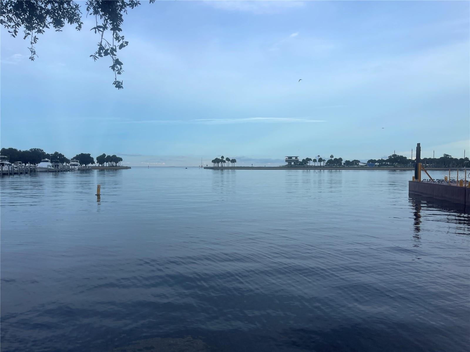 View of Tampa Bay