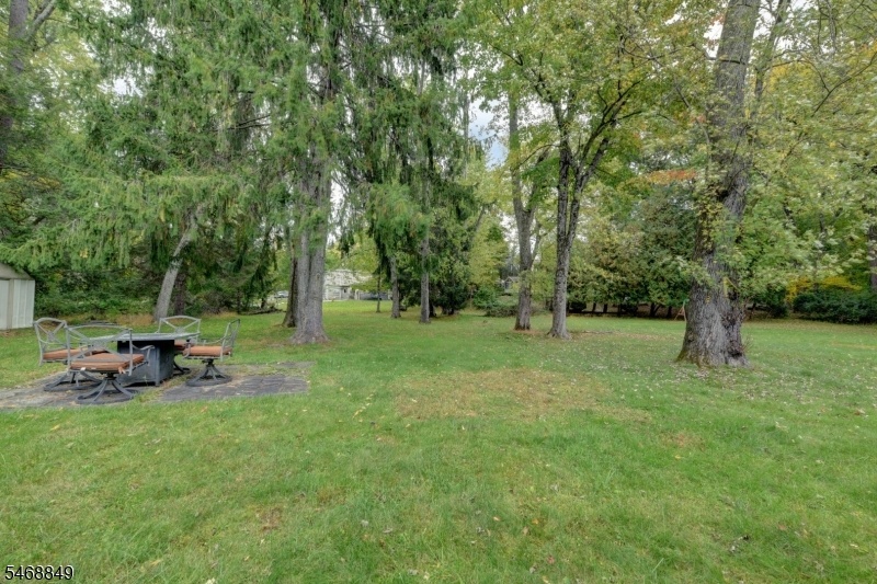 Rear Yard