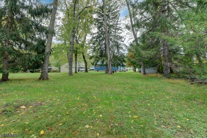 Rear Yard