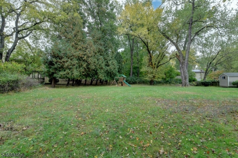 Rear Yard