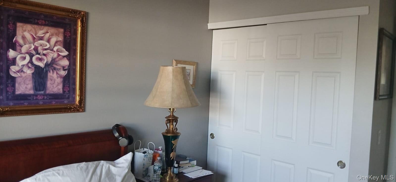 White paneled sliding closet doors