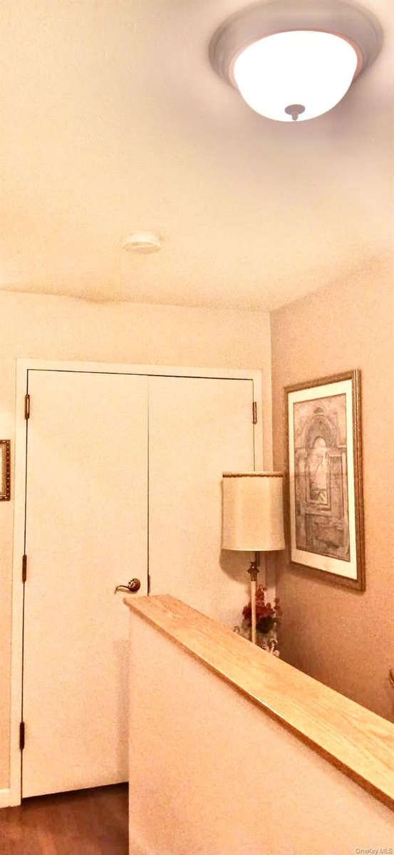 Double-door closet with metallic hardware, integrated ceiling-mounted light fixture, and wooden banister