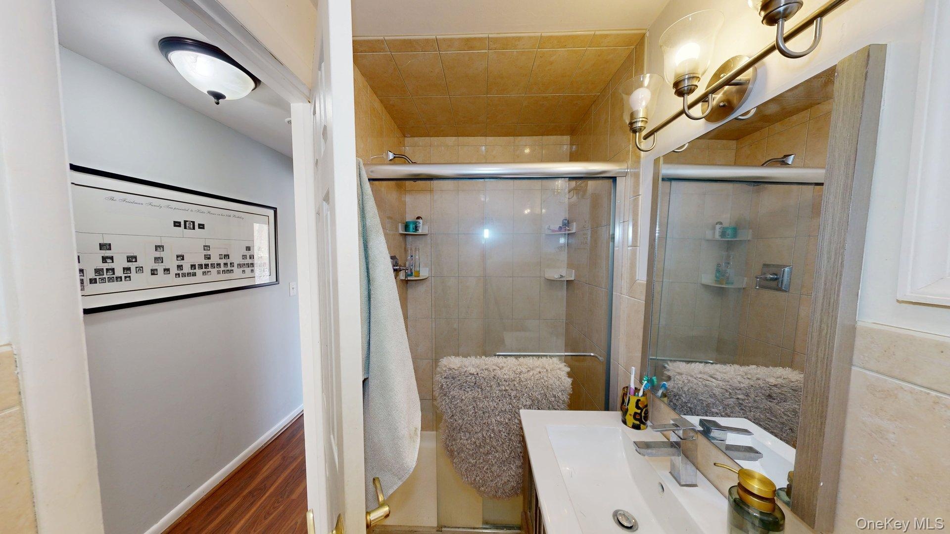 Lower Level Full Bathroom