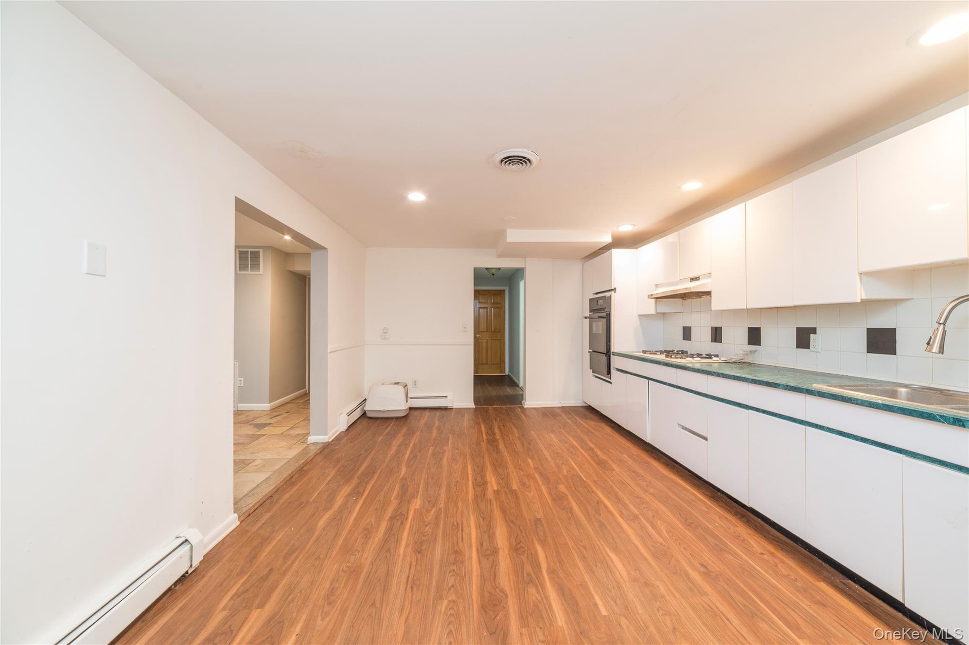 Lower Level Kitchen