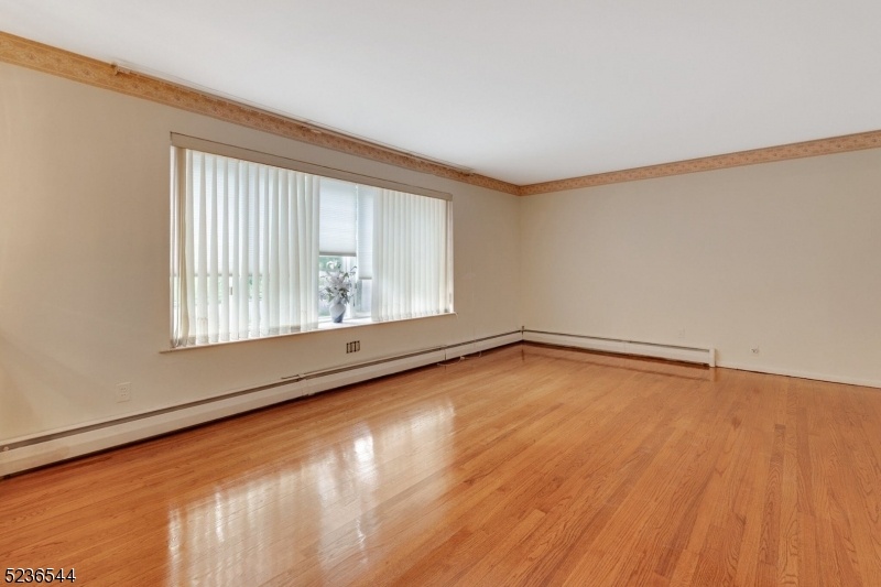 Living Room plus dining