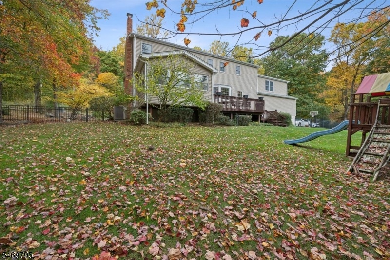 Backyard View