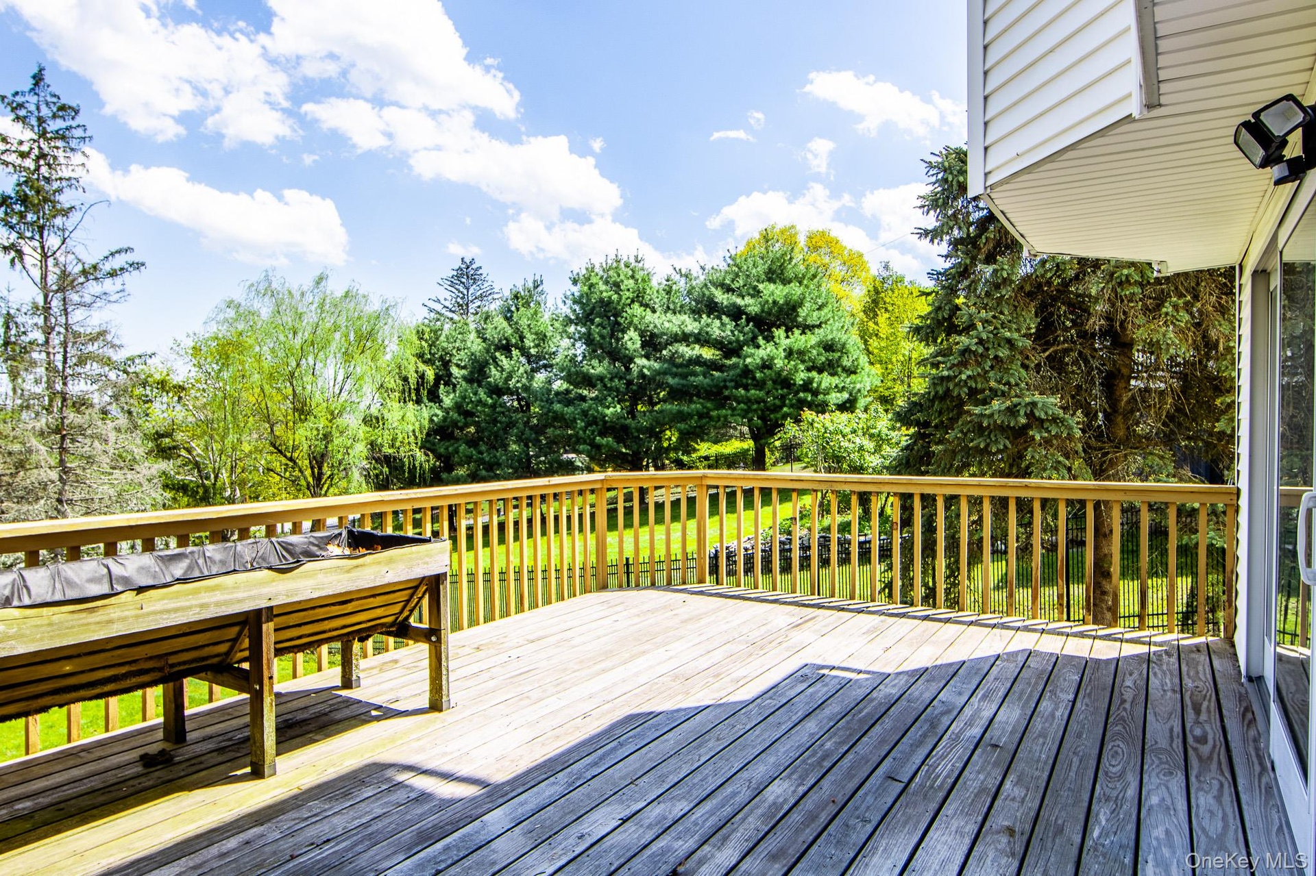 Lower deck from the basement