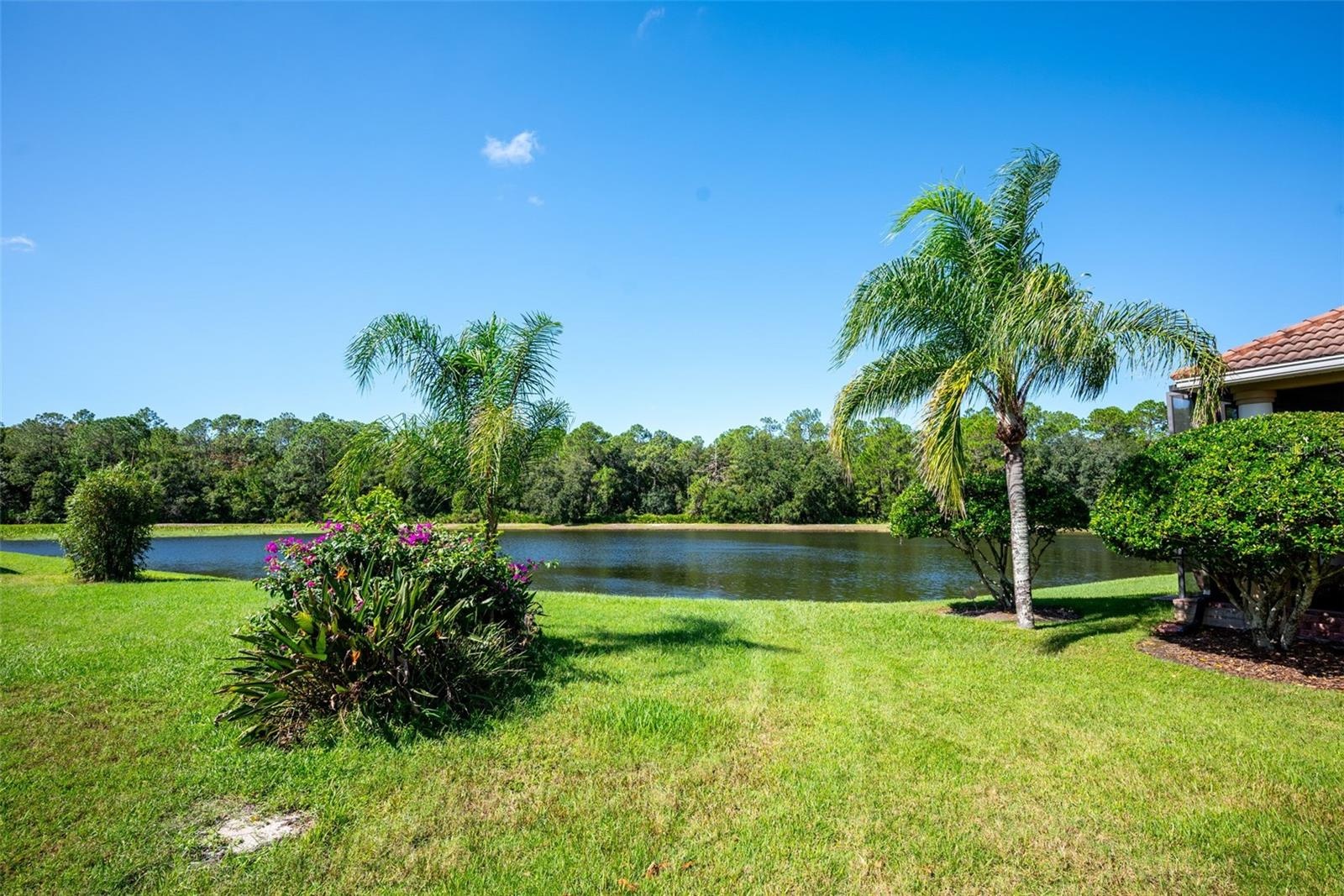 Backyard with pond view