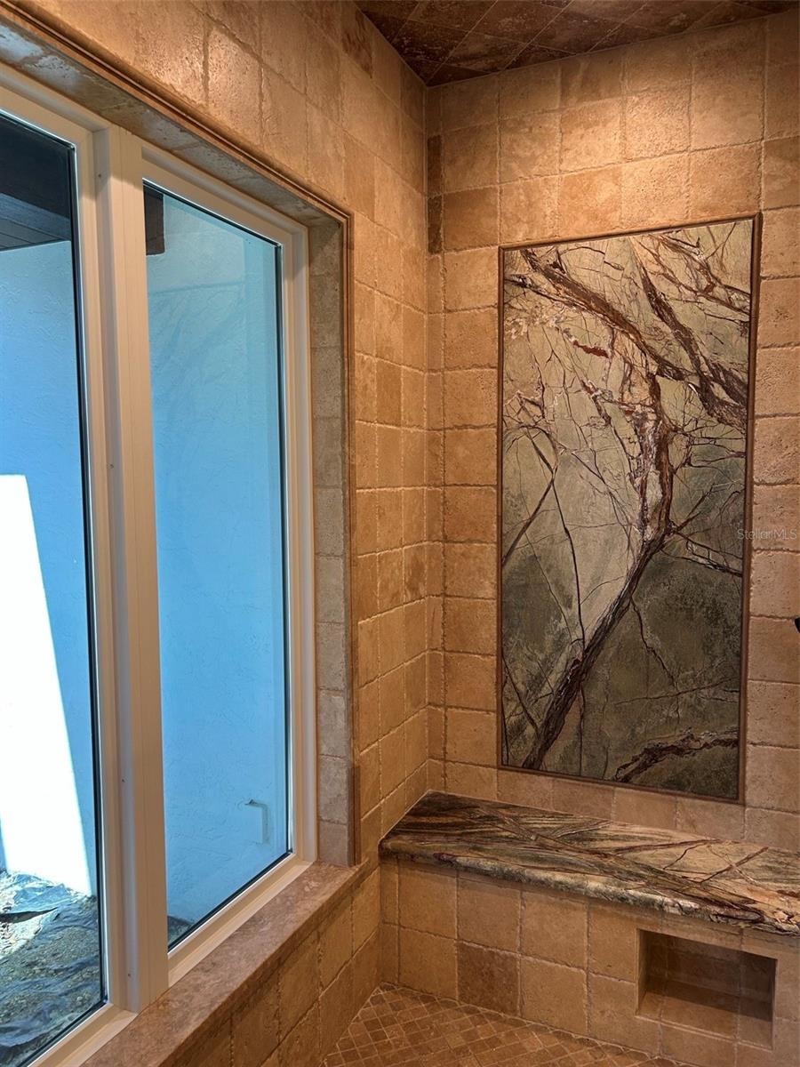 Primary Shower