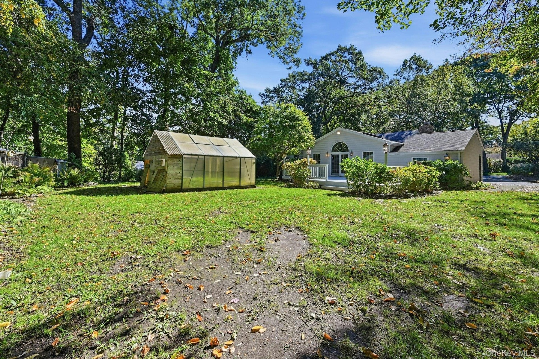 Backyard. Very private.