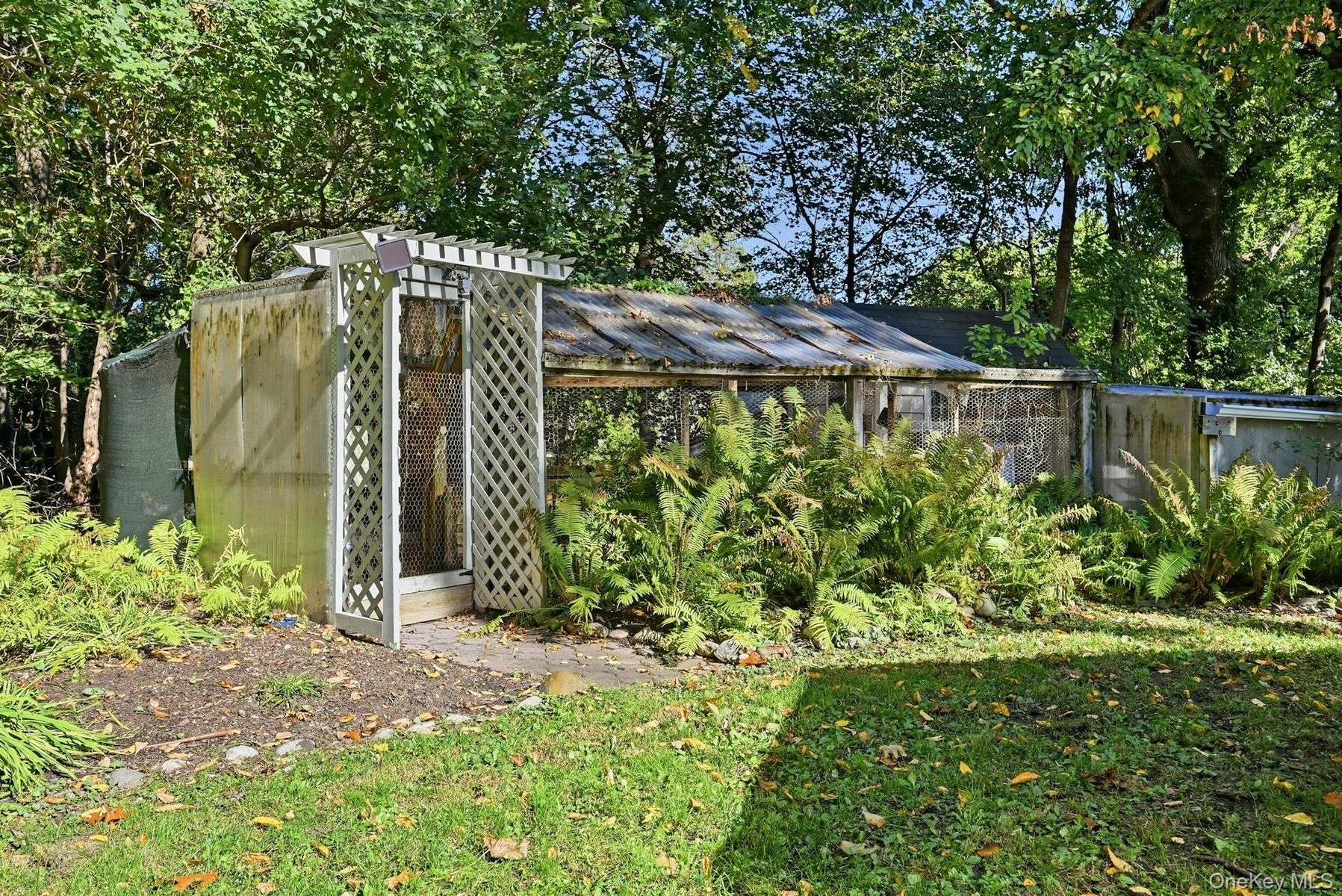 Chicken coup. Enjoy farm fresh eggs!