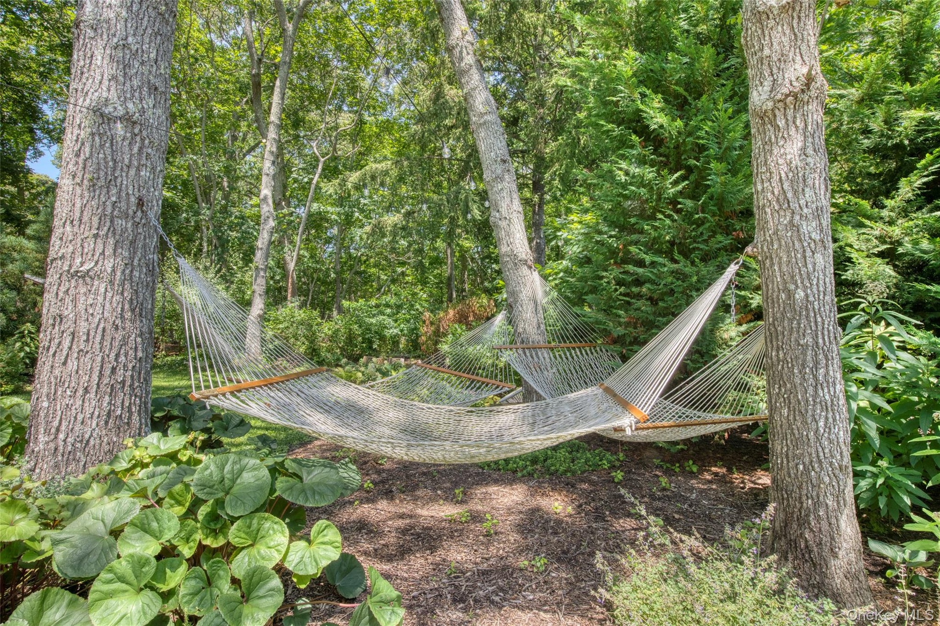 3 hammocks