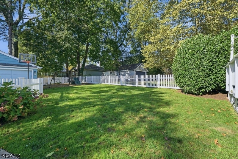 backyard 2