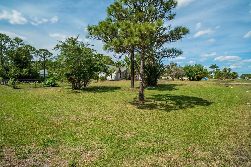 Expansive lot featuring mature pine trees, established tropical foliage, and grass lawn