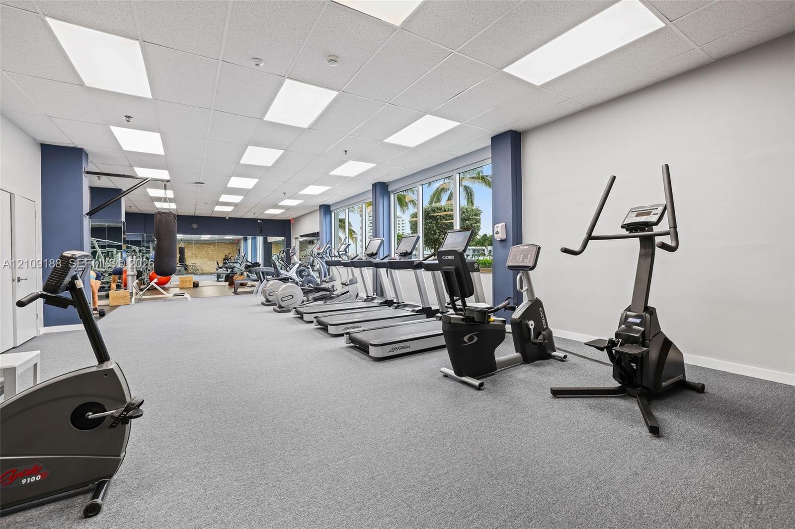 Fitness center featuring recessed lighting, a grid ceiling, carpeted flooring, floor-to-ceiling windows, and mirrored wall surfaces