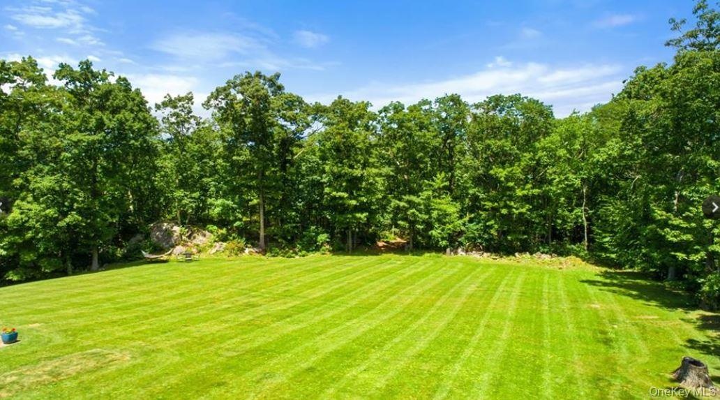 View of lush backyard