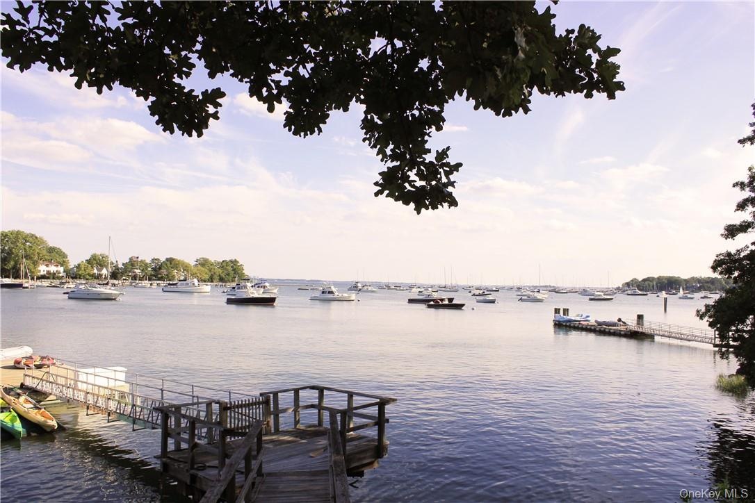 Water Views from the Park